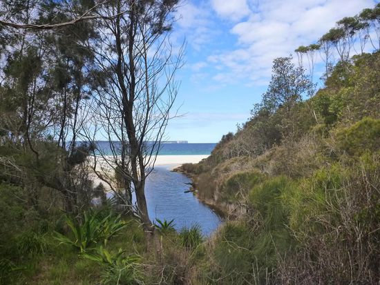 Im grossen Bereich der Jervis Bay, auf dem Weg vom Greenfield Beach zum Hyams Beach