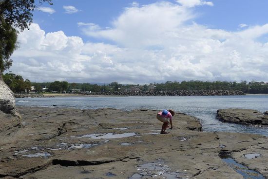 Ein Traum für Geologen, das Fossilienplateau von Ulladulla