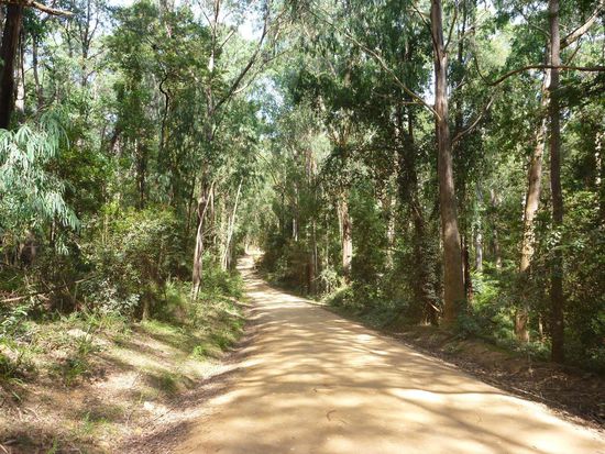 Unsere erste Dirt Road, sieht eigentlich so von weitem betrachtet harmlos aus. War aber Höchstbelastung für Mensch und Maschine, aber auch hier sind sicher noch Steigerungen möglich