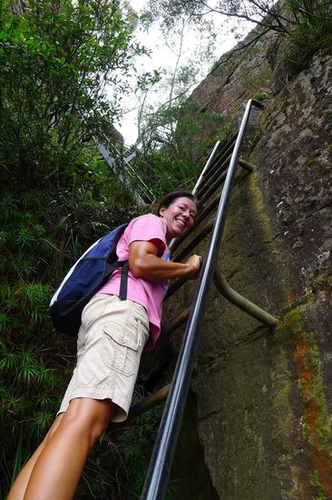 ....und Leitern führen zum Gipfel