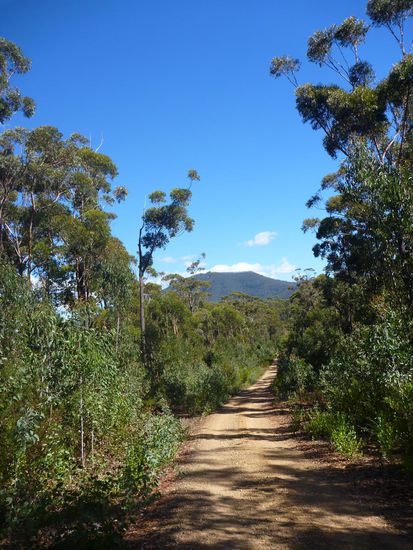 Auf dem Weg zum Mount Imlay, im Hintergrund das Objekt der Begierde