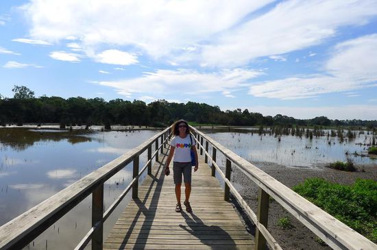 Der Weg durch die Wetlands von Sale führte meistens über Holzbrücken und man beachte: die Sonne schien!