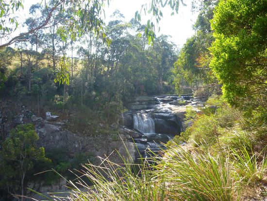 Blick auf den Agnes Falls Wasserfall