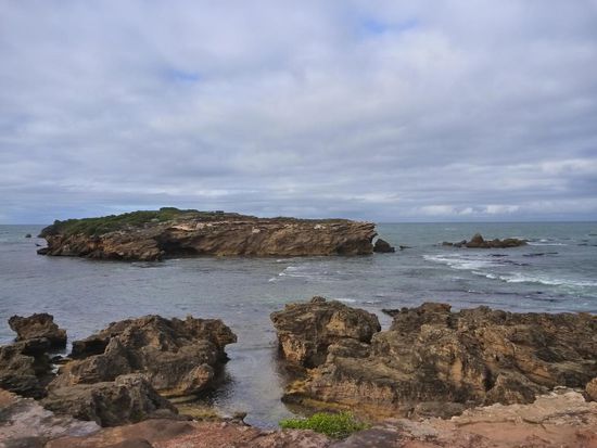 Blick auf Middle Island (Betreten verboten). Die kleine Insel wo die Zwergpinguine ihre privaten Bodyguards in Form von Hirtenhunden haben
