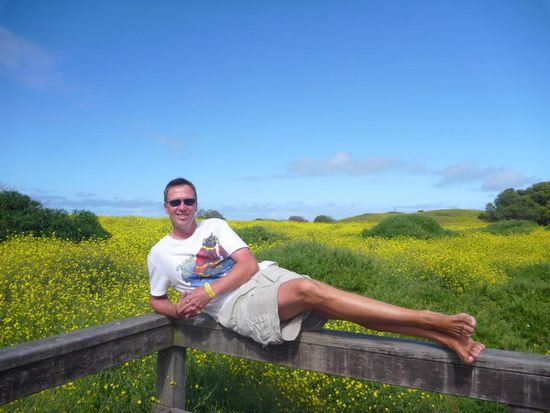 .....umgeben von blühenden Wiesen....