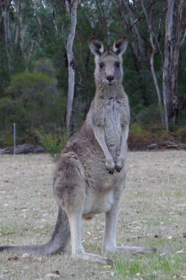 Dort wurden wir schon neugierig erwartet
