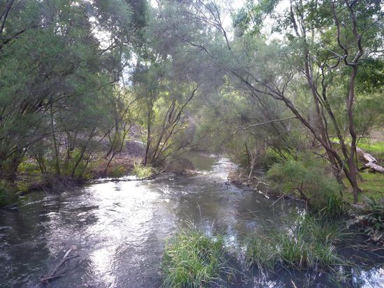 Der Wonderland Loop begann mit einem Blick auf  Venus Bath