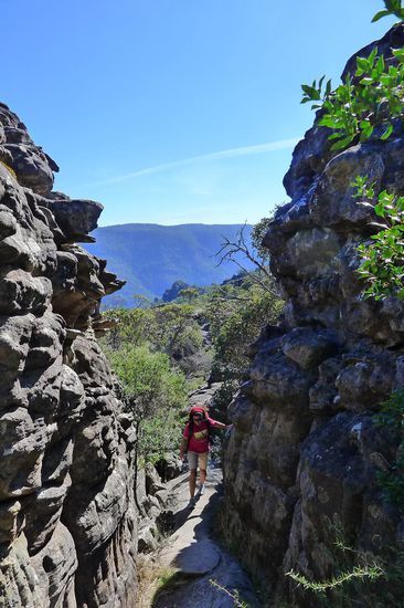 Eine Bergziege in der Schlucht, hier der Grand Canyon des Weges