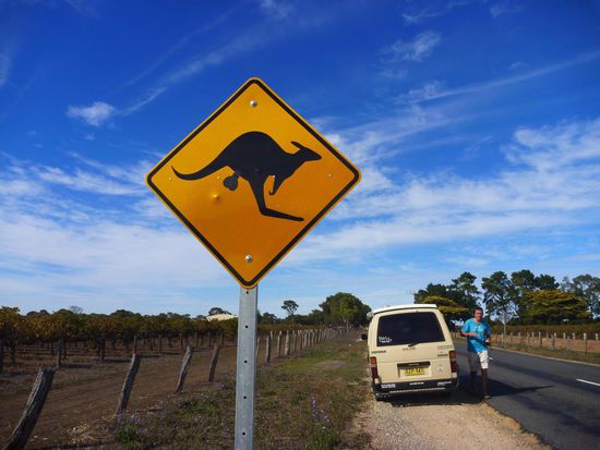 Auf der Fleurieu Peninsula gibt es viele Weingüter. Die Strassenschilder werden im Nachhinein individuell verschönt.