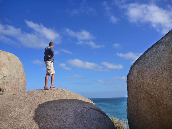 ....Oliver wartet auf Delphine.