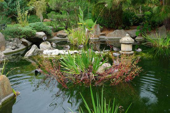 Der Himeji Garden, ein kleiner im japanischen Stil angelegter Park