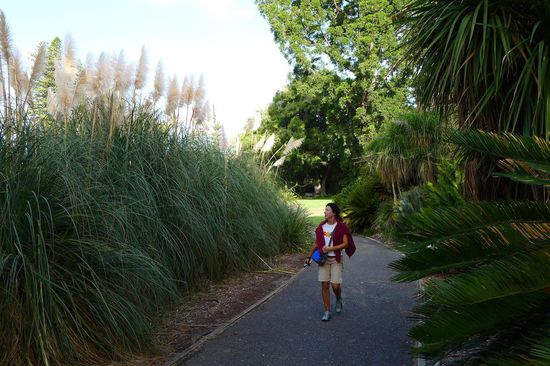 Im botanischen Garten