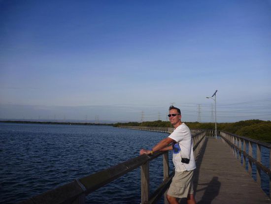 Der Dolphin Walk führt durch Mangroven Gebiet. Flussdelphine sieht man auch, mit ein bisschen Glück