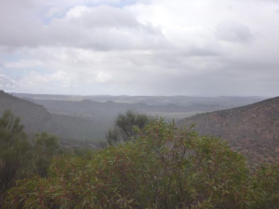Der Weg zum Wangara Lookout war schön, das Wetter weniger