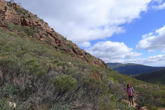 .....keine Frage, es geht auch wieder aufwärts.....