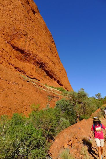 Die verschiedenen Wege durch den Nationalpark......