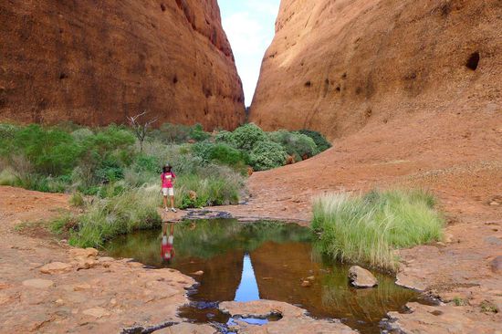 ......sehr abwechslungsreich. Von Wüste bis Wasserstellen in Schluchten, alles dabei
