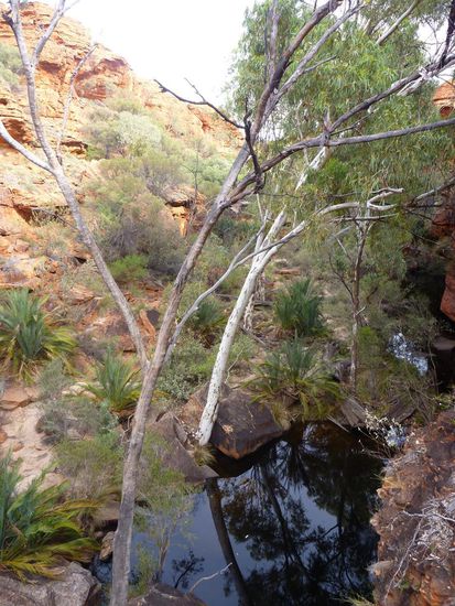 Schöner Zwischenstopp am  Garden of Eden, eine permanente Wasserstelle von Bäumen und Palmen gesäumt