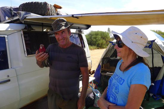 ......und Papagei Tom, Hauptdarsteller diverser Roadmovies.