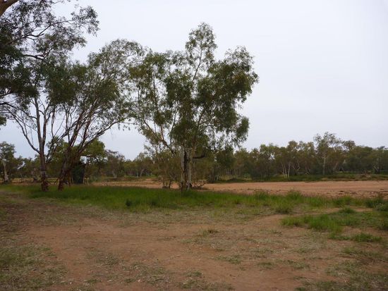 Blick auf den Todd River, hier der Normalzustand: "trocken"