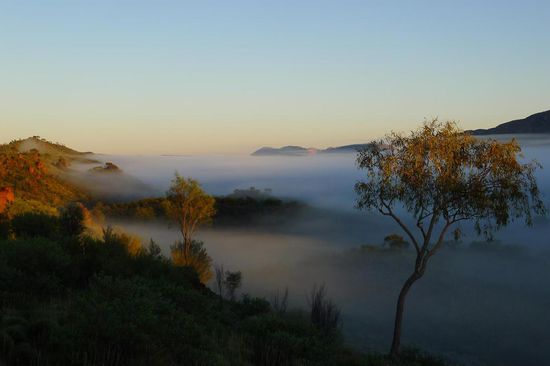 Herrlicher Blick vom Point Howard Lookout  in das Tal wo der morgendliche Nebel wabert