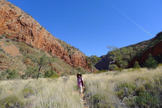 Leicht irritiert und verirrt in der leider nicht grünen sondern "scharfgrasigen" Ebene. Hier fehlten die Wegmarkierungen........