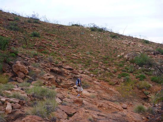 Auf dem Ridgerop Trail, inklusive Rückweg über eine Sandpiste , läuft man da etwas über 20 km