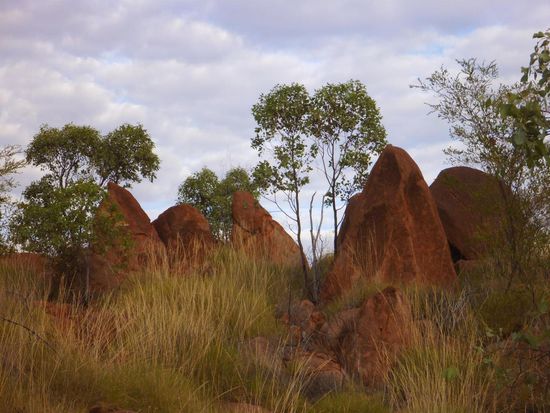 Auch die Pebbles erstrahlen in unterschiedlichsten Farben