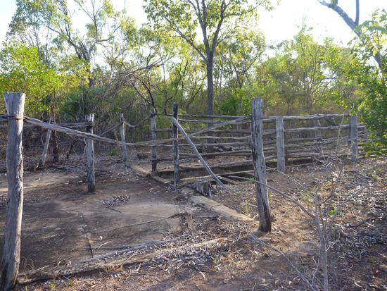 Ein historischer Teil des Parks, hier versuchte man seinerzeit Schafe zu züchten (hat aus verschiedenen Gründen nicht geklappt). Man kann die Überreste der Gatter noch besichtigen. Wow!!!!