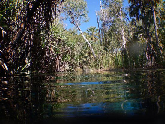 Das Umfeld von Bitter Springs, warm- grün - tropisch -traumhaft