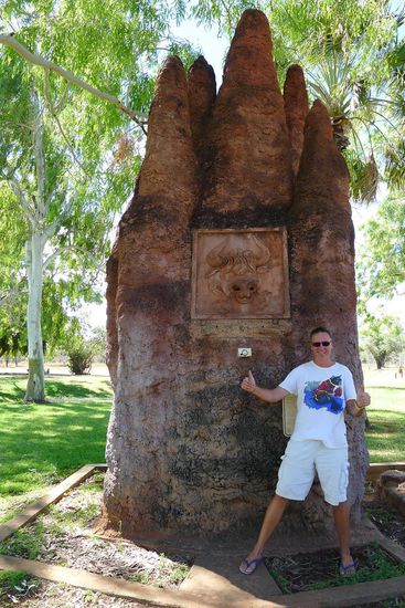 In Mataranka, ein Ansichtsexemplar der riesigen Termitenhügel die  in dieser Gegend überall zu sehen sind