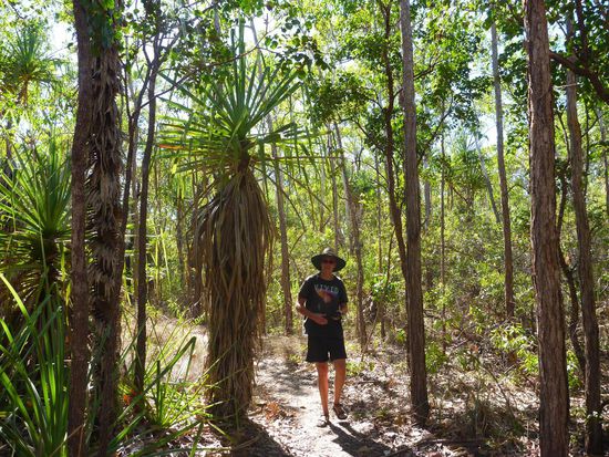 Auf dem Weg zum Mirrai Lookout, hier ist es noch schön grün