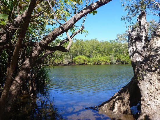 Ein schicker kleiner Fluss an unserem Campplatz, zum Glück ohne Crocs