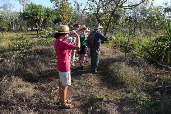 Bush Walk mit Ranger, auf diesen Wanderungen bekommt doch viel zu sehen, was einem allein gar nicht so aufgefallen wäre