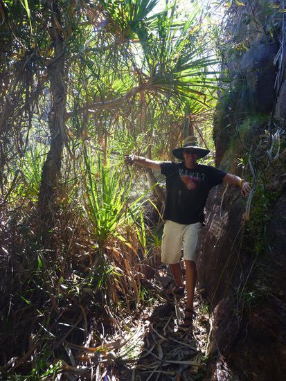 Der Barrk Sandstone Bushwalk war wieder einmal etwas anspruchsvoller.....