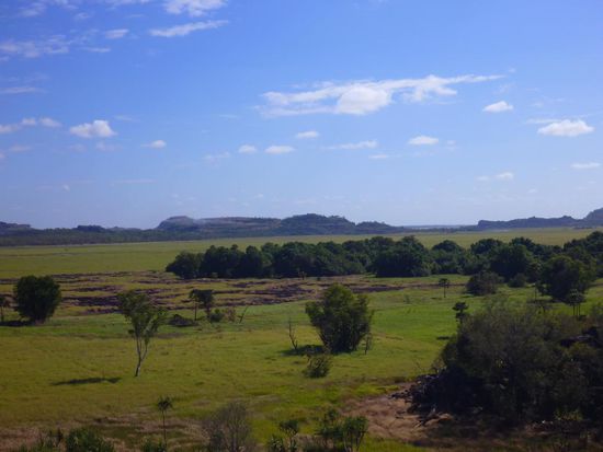 Die Nadab Floodplains, während der Regenzeit ist hier alles überschwemmt