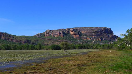 Anbangbang Billabong, der Weg rund um diese Wasserstelle war gesperrt, weil hier einer der gefährlichen Wasserbüffel gesichtet wurde