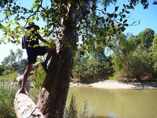 Deshalb, immer noch kein Krokodil gesehen, Flussbeobachtung aus sicherer Position