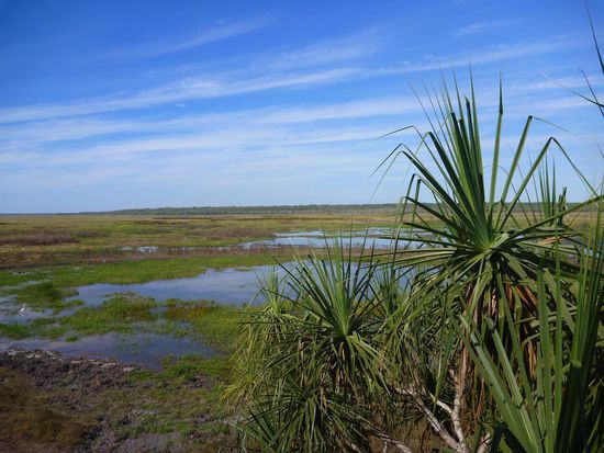 Ausblick über die Wetlands, ein Paradies für Vogelkundler