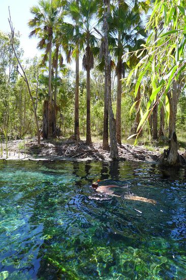 Noch einmal das warme glasklare Wasser in Bitter Springs geniessen
