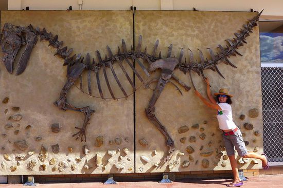 Auch in Hughenden zählen nur die Dinos