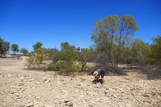 Die Arbeit war hart und mühsam, und dann noch nicht einmal einen kleinen Dino gefunden