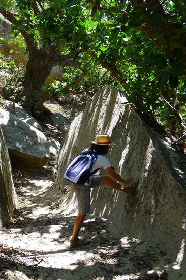Leider gibt es auch hier Sandfliegen. Aber die Erfahrung lehrt, wehret den Anfängen. So liess sich die Anzahl der Stiche im überschaubaren Rahmen halten.Also volle Kanone aus der Spraydose auf die Haut. Aussis Allzweckwaffe
gegen jegliches lästige Viech - Bushman!
