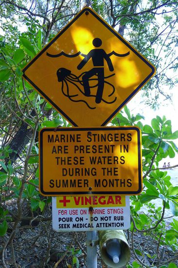 Kleines Hindernis für ungetrübte Strandfreuden:  die Warnschilder die auf gefährliche Quallen hinweisen und dazu gleich als erste Hilfe bei Kontakt, eine Flasche Essig.  Die Kontaktstelle sofort mit Essig spülen ist das einzige Mittel was ein wenig hilft.