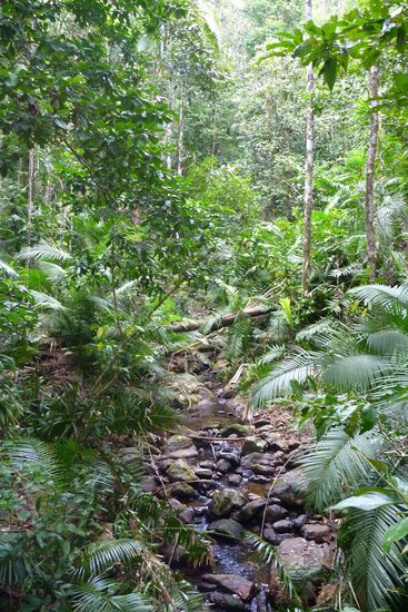 Auf der Rückfahrt in die Zivilisation noch ein kurzer Stopp an einem der vielen kleinen Bäche