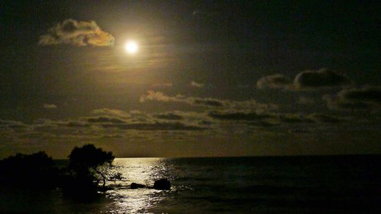 Eine Vollmondnacht in Port Douglas