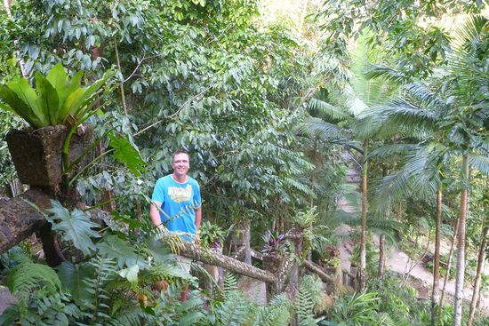 Brücken und Treppen führen kreuz und quer durch den Park