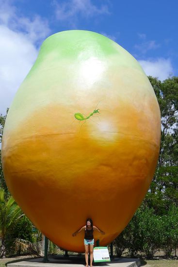 Und sie ist tatsächlich wieder da: die berühmte Big Mango (10m hoch, 7 T schwer) wurde im Februar geklaut!!!! Die Geschichte erlangte Weltruhm, kann gegoogelt werden.     P.S wir waren es nicht.
