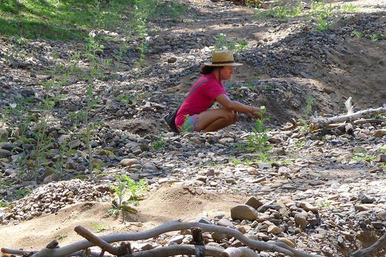 In Sapphire versuchten auch wir unser Glück. Der Ort gehört zu den Gebieten wo Edelsteine und Gold abgebaut werden. Der fleissige Tourist darf in den verlassenen Claims herumwühlen.