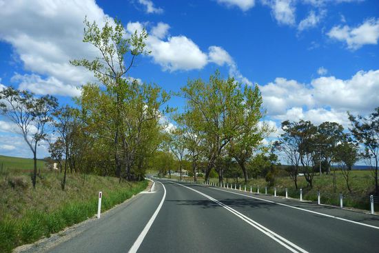 Es ist Frühling. Erstaunlich, die Bäume leuchten in hellem frischen Grün wie im Frühling in Deutschland, aber Weihnachten steht vor der Tür.